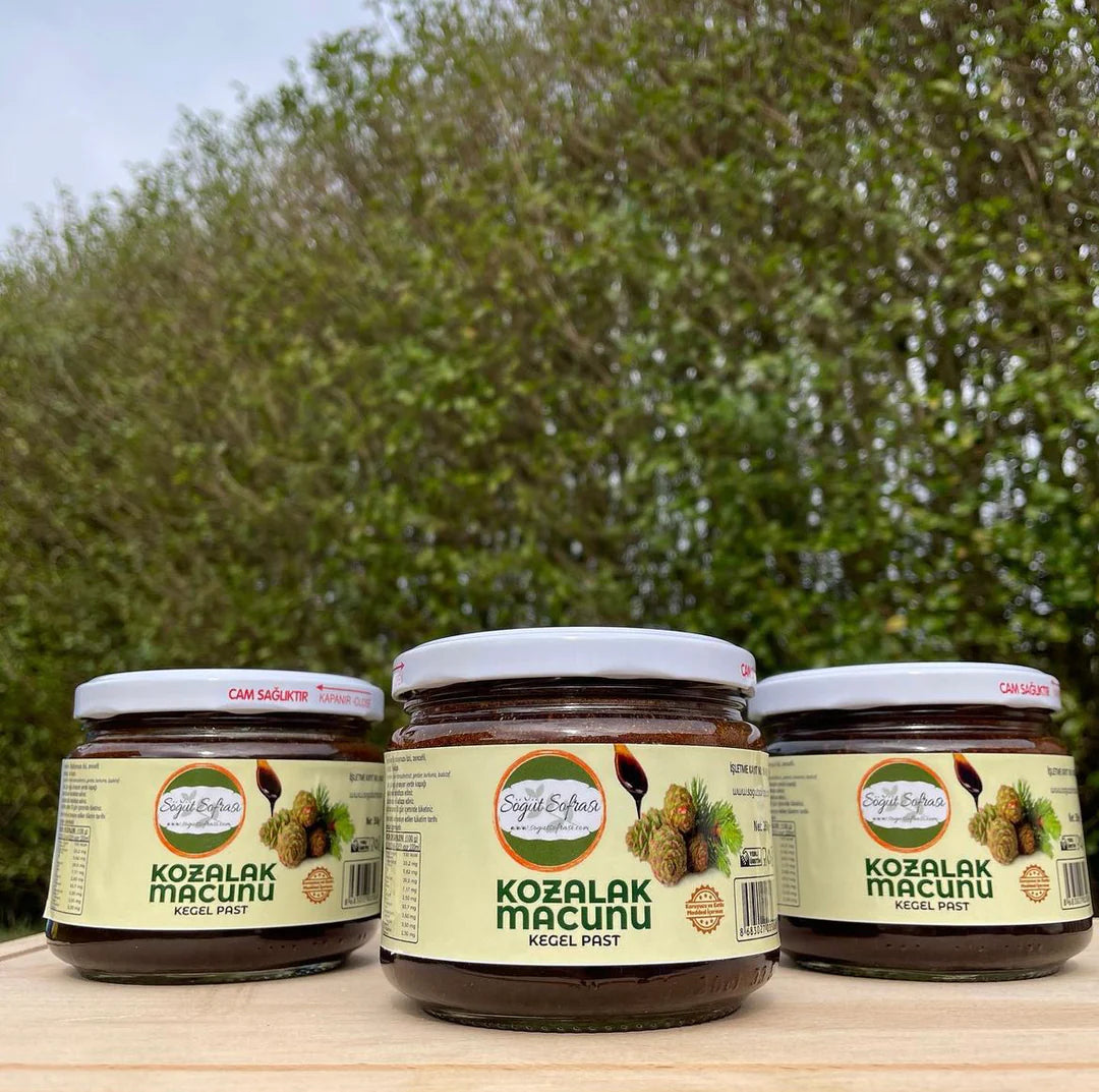 Tannenzapfen Paste 350g