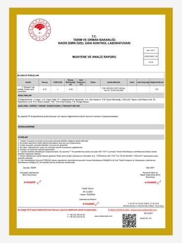 Green Amour 100% Extra Virgin Olivenöl 5 L