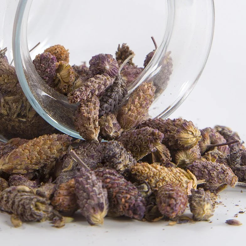 Französischer Lavendel (Karabaş Otu) – Getrocknet 50 g | Shifaah