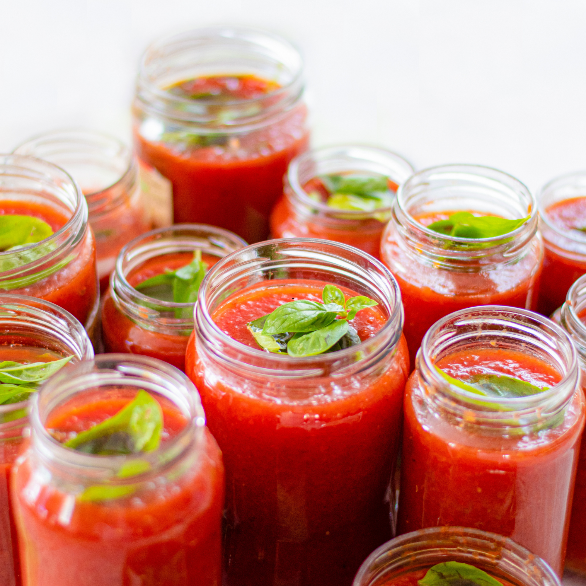 Tomatensauce 600 g – Hausgemachte Tomatensoße ohne Zusatzstoffe