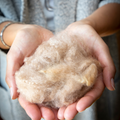 Ungewaschene Schafwolle 100g – Naturbelassene Rohwolle mit Lanolin